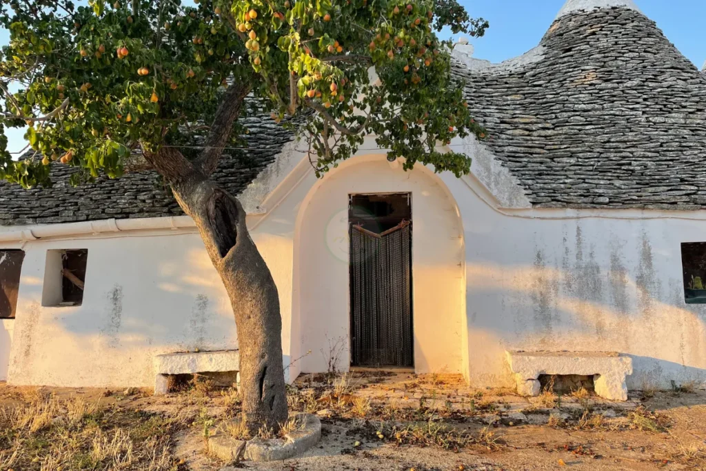 Trulli rooftops seen from the bike trail in the Itria Valley