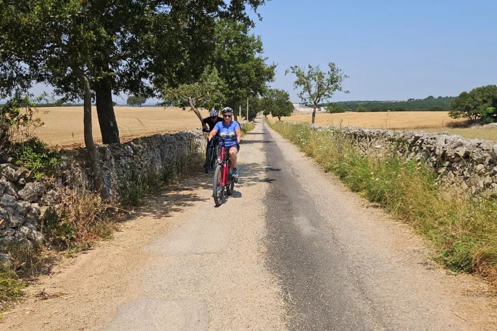 E-bike tour crossing Neolithic paths amid thyme-scented landscapes