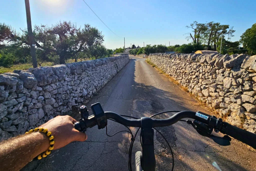 ebike-ride-olive-groves-murgia