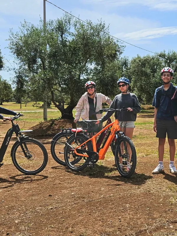 Sunlight filtering through olive branches on the bike trail in Monopoli