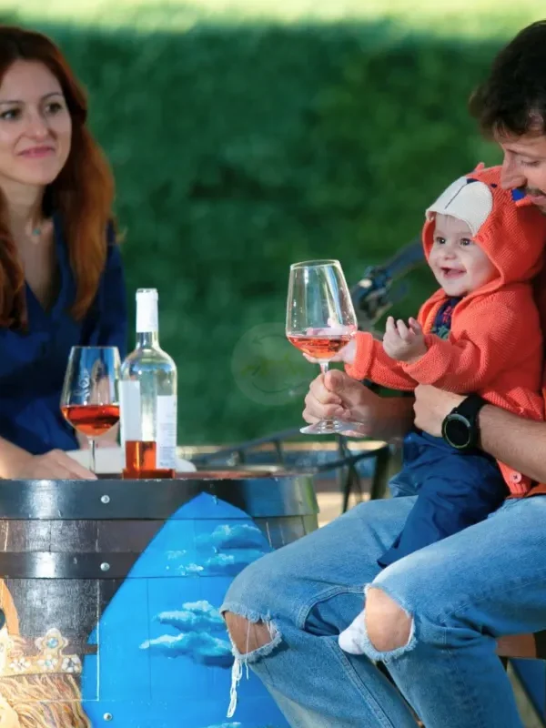 Close-up of wine glasses and local cheese at the end of an e-bike tour