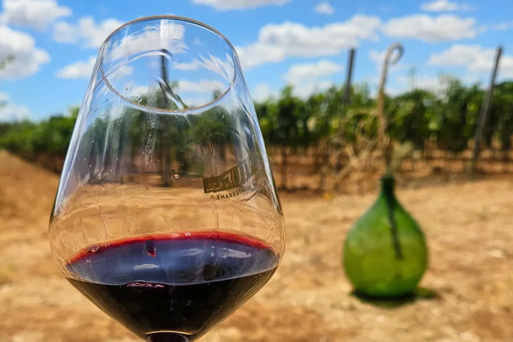 Wine tasting table set in a rustic setting after an e-bike ride