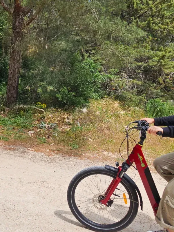 Mercadante Forest eBike Tour: Shady Trails & Picnic Experience