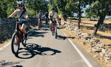 Primitivo Gioia del Colle e-bike experience through vineyards