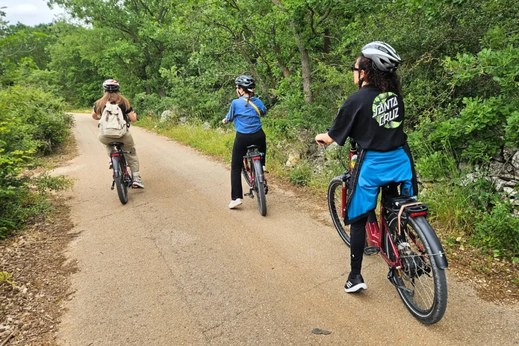 E-bike riders cycling through Mercadante Forest in the Alta Murgia countryside