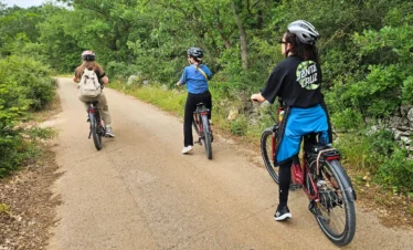 E-bike riders cycling through Mercadante Forest in the Alta Murgia countryside
