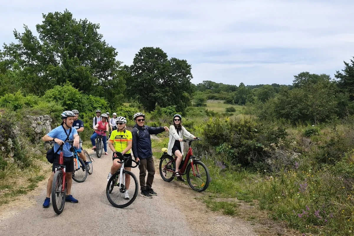 Corporate e-bike team building in Central Puglia countryside