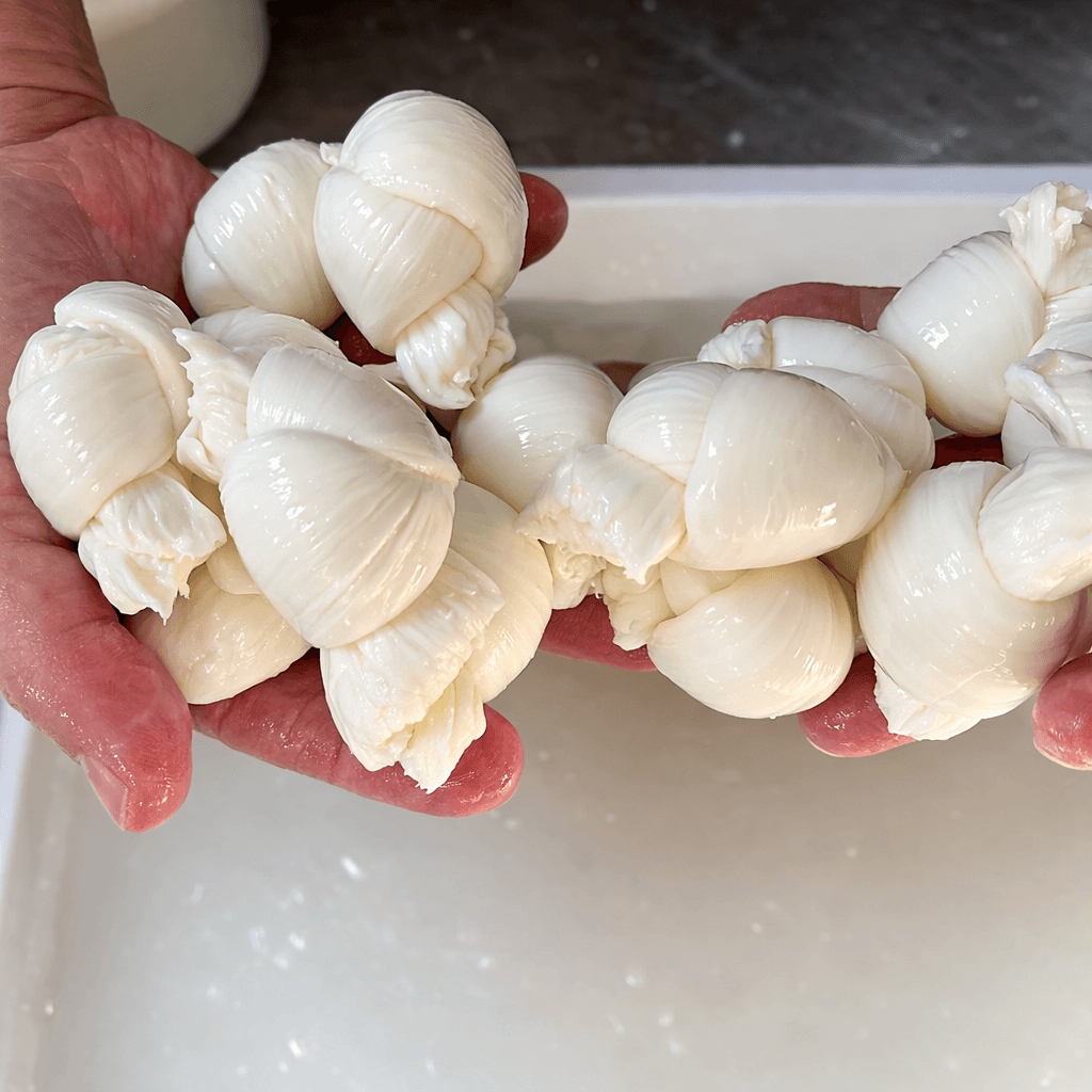 Mozzarella di Gioia del Colle freshly made in traditional dairy
