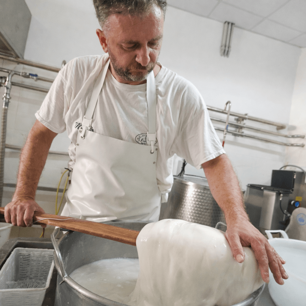 Traditional mozzarella stretching process in Gioia del Colle dairy