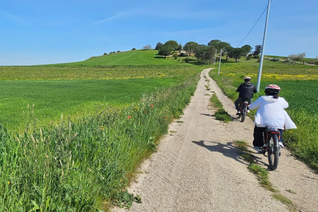 Empty land. Deep light.