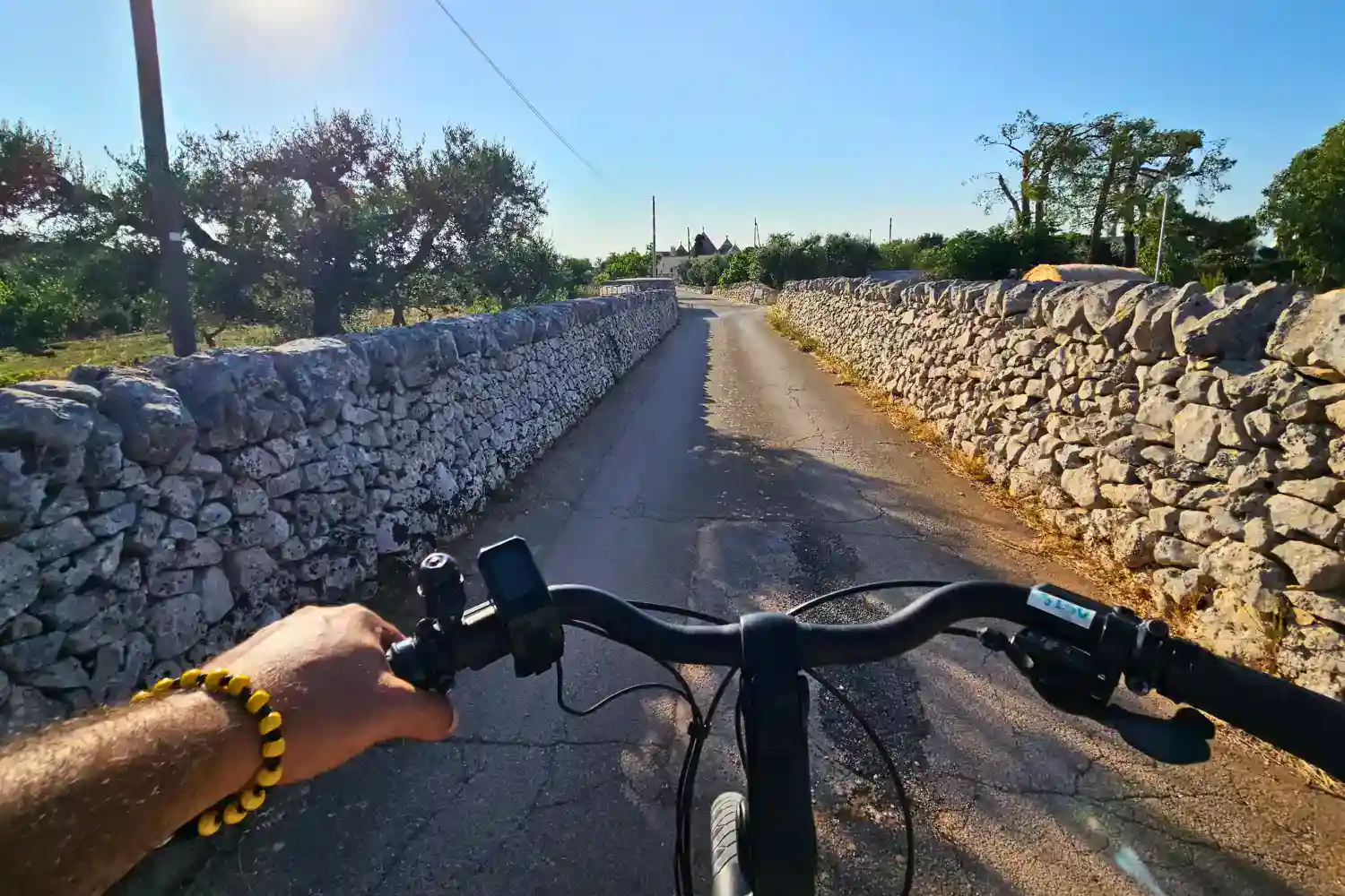 tour mozzarella puglia