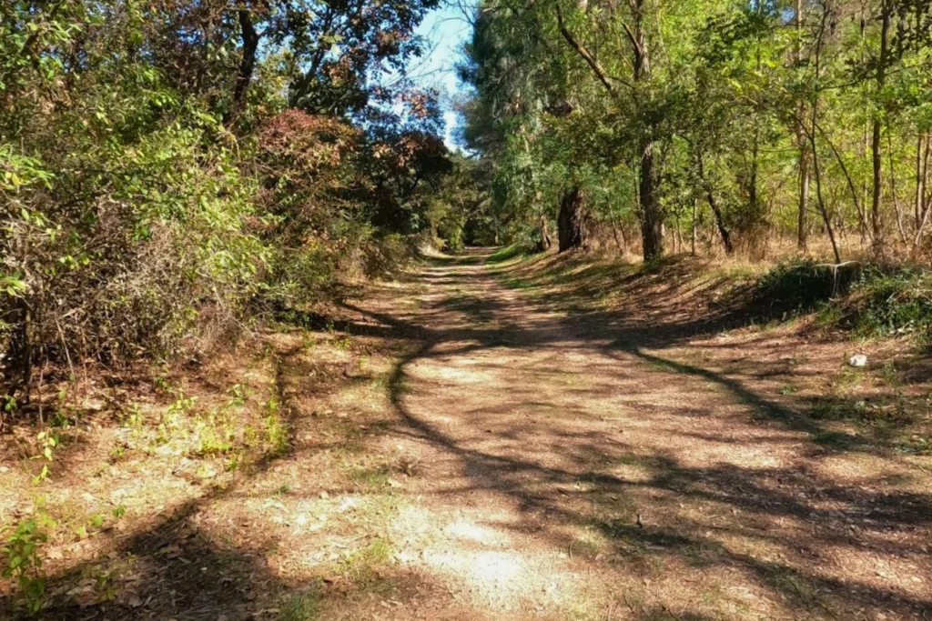 Green where you don’t expect it.