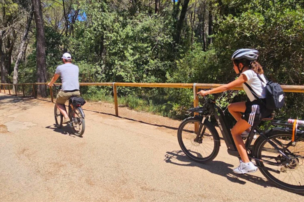 We enter the forest quietly.