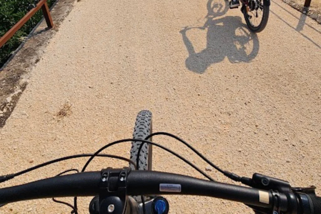 Shade, silence, fresh air.