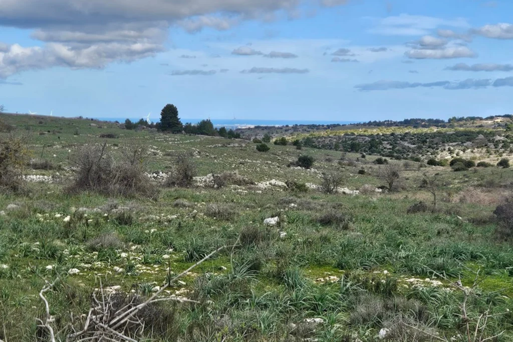 From forest to wild land.