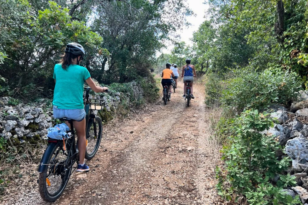 Twists, turns, natural flow.