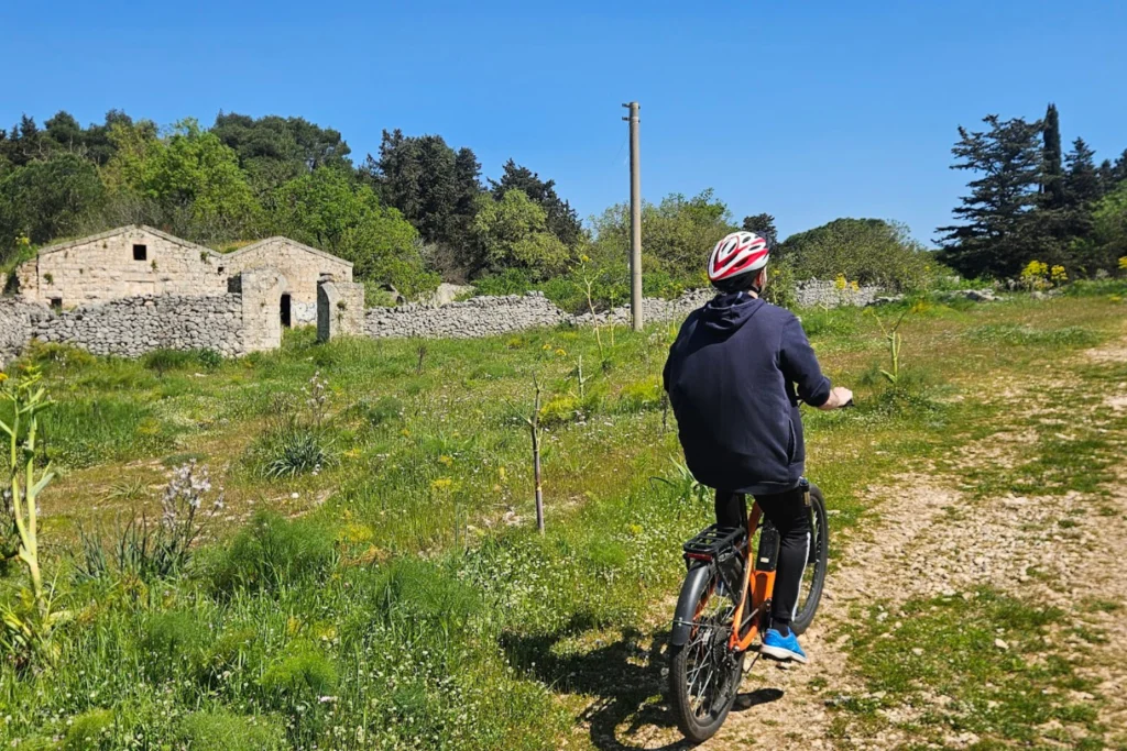 Open space inside the woods.