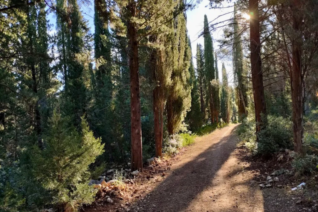 Ride through the Mercadante forest, where Puglia turns green. Shaded paths, fresh air and quiet trails inside the Alta Murgia landscape.