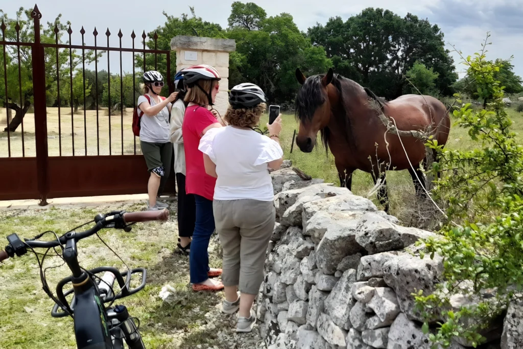 We stop when it feels right.