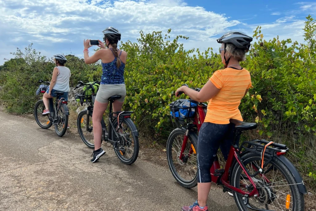 Ride through the land of Primitivo.