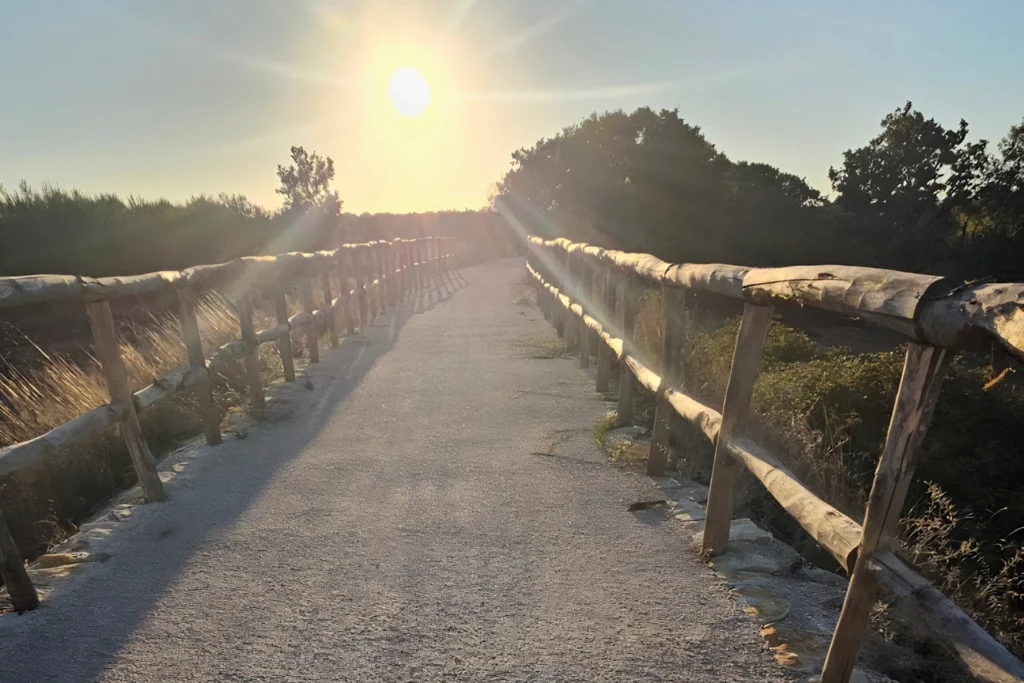 No rush. Just the moment.