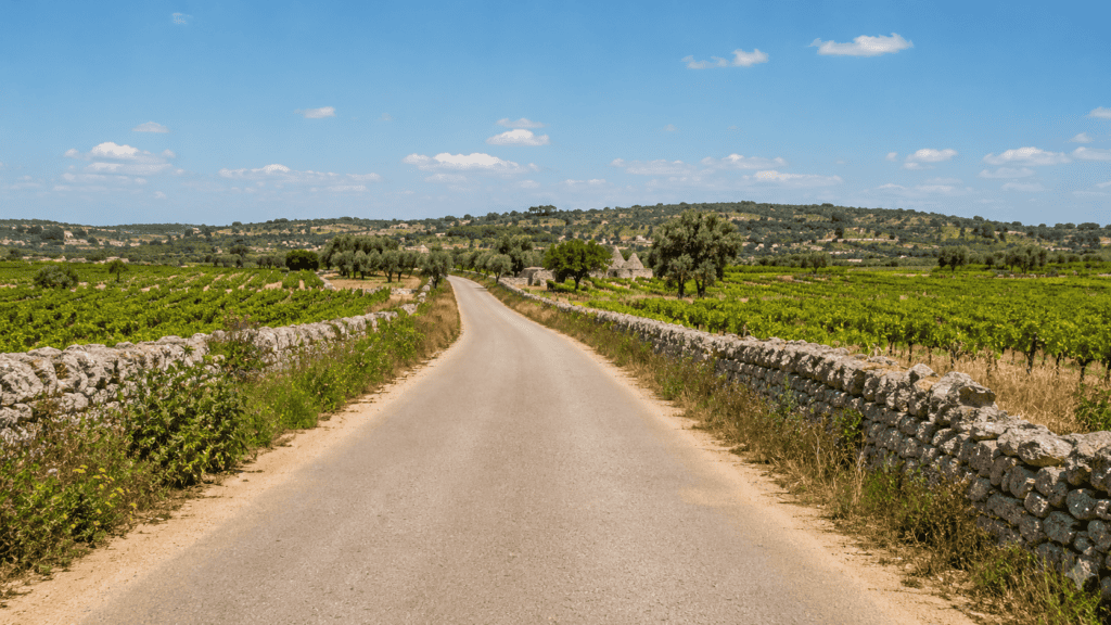 Quiet countryside cycling roads near Bari in central Puglia